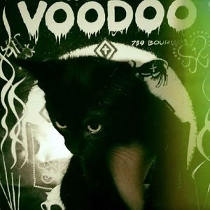 Meet your Posher, Lexy